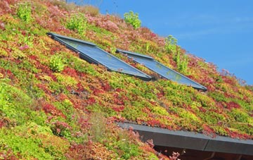 Town Of Lowton living roof systems